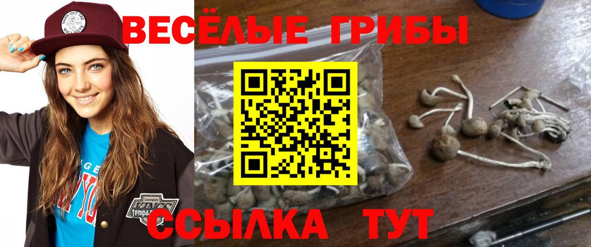 Псилоцибиновые грибы Magic Shrooms  Вход с VPN  Морозовск 